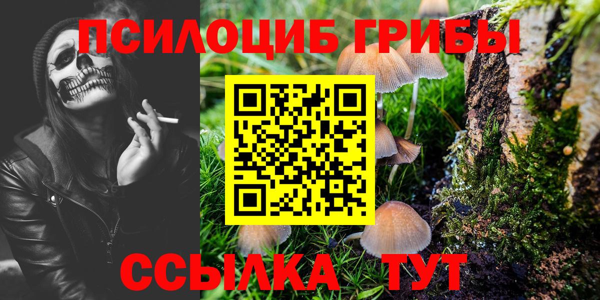 Галлюциногенные грибы прущие грибы  Псилоцибиновые грибы MAGIC MUSHROOMS  Вход с VPN  Рузаевка 